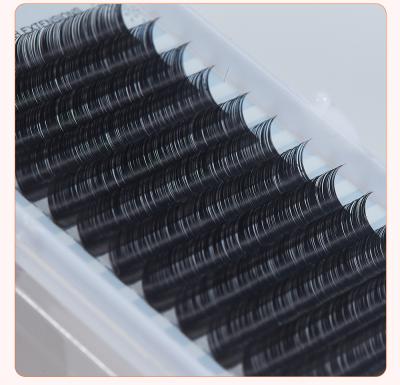 China Classic Natural Hot Sale 1 Long Auto Extension Volume Lashes Easy Fanning OEM for sale