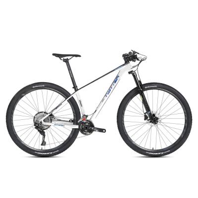 China Cheap magnesium alloy SX-12S carbon mtb mountain bike 29er for sale for sale