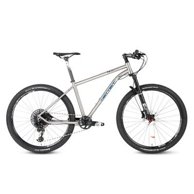 China XT level most popular titanium mtb mountain bike GX EAGLE mtb 12 speed high end titanium bicycle 29er for sale