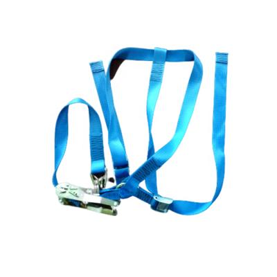 China Cargo Tie Down Adjustable Car Wheel Strap For Trailer Tie Down With Buckle And Cam Hook for sale