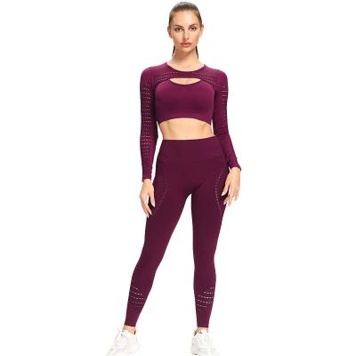 China 2pcs Womens Yoga Set Sports Suit Gymwear Breathable Seamless Workout Clothes High Waist Long Sleeve Gym Gaiters Upper Fitness Sports Wear for sale