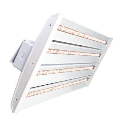 China HB II-960 full spectrum aluminum smd led grow lights for horticulture home vertical application farm hobbyist agricultural colleges for sale