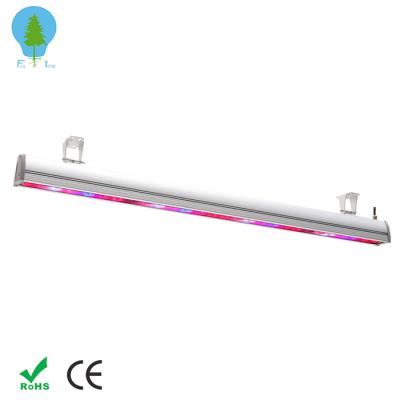 China New CE rohs Growing Lights Flower Vegetable Greenhouse Fruit Full Indoor Spectrum Led Plant Growing Light Plant for sale