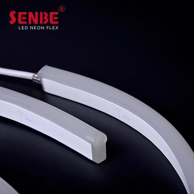 China Sports Stadiums Senbe Lighting Rope Strip F21A Waterproof Warm PVC ip68 24V RGB LED Flexible Neon Strip Light for sale