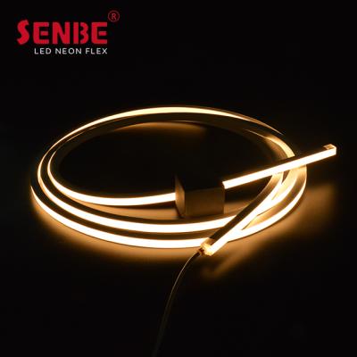 China LANDSCAPE Senbe Lighting F22B Constant Voltage Animation Light 24V Neon Cable Customized Outdoor Advertising LED for sale