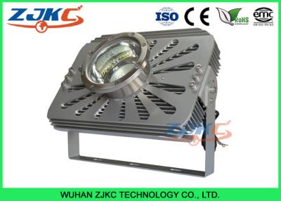 China 300W Marine LED Flood Lights Salmom Growth Lamp For Indoor Fishing Farm for sale