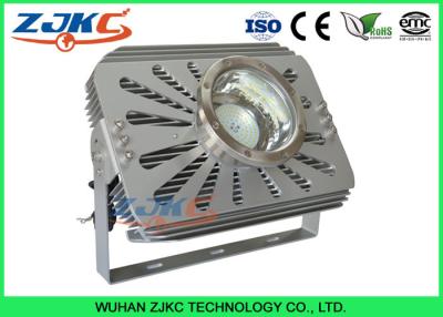 China AC230V 12 Volt LED Marine Flood Lights For Fish Farming / Fish Hatching for sale