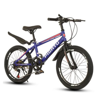 China Steel Manufacturers Head Sale Dual Disc Brake Carbon Frame Mountain Bike for sale