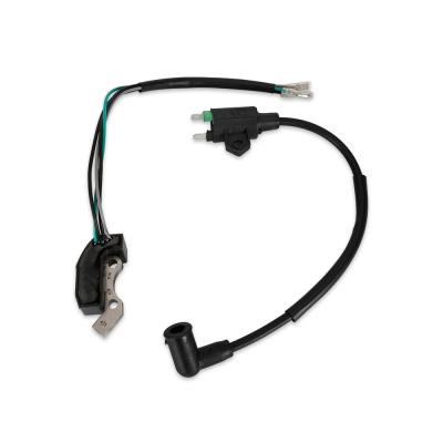 China China Supplier ST950F-8 Gasoline Generator Spare Parts Igniter Ignition Coil for sale