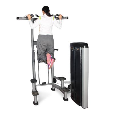 China Commercial High End Gym Machine Use DGZ Back Extension Assisted Chin and Type Chin Dip Kneeling Aid for sale