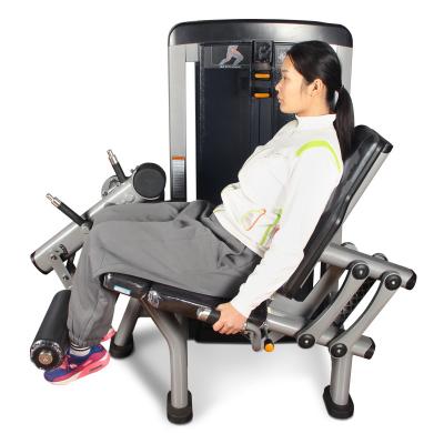 China Commercial Use Pin Loaded Leg Machine Leg Curl Leg Extension GYM Equipment for sale