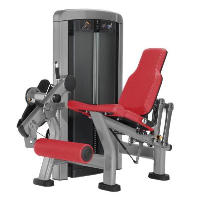 China NEW Commercial Use DGZ Design Integrated Gym Machine Leg Press Fitness Equipment Leg Center Extension for sale