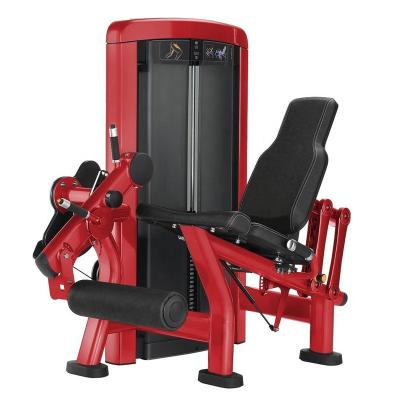 China New Factory Commercial Use Leg Extension Fitness Machine Gym Equipment for sale