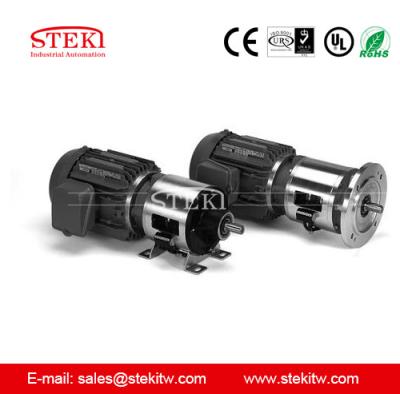 China Precise Control of Heavy-Duty STEKI 2018 Magnetic Brake Clutch Unit Group Combination for sale