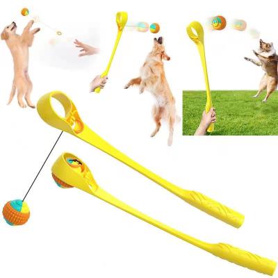 China New Fashion Design Durable Plastic Pet Owner Pet Stored Interactive Ball Game Toy for sale