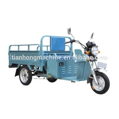 China Eco - Friendly Cargo Passenger Three Wheel Motor Enclosed Tricycle for sale