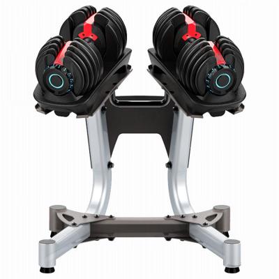 China Home Use Dumbbell Stents Home Use Fitness Equipment Dumbbell Tray High Quality Steel Dumbbell Rack for sale