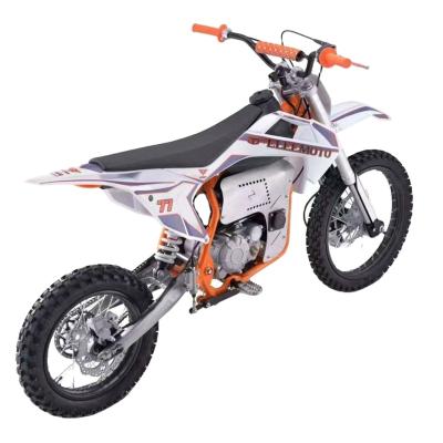 China Hot Selling Adult Electric Dirt Bike 2024 Electric Motorcycle 3000w 40 Amp-Hour for sale