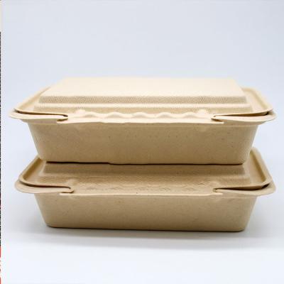 China Disposable Rectangular Syrup Salad Sugarcane Packing Box Square Takeout Wholesale Paper Lunch Box for sale