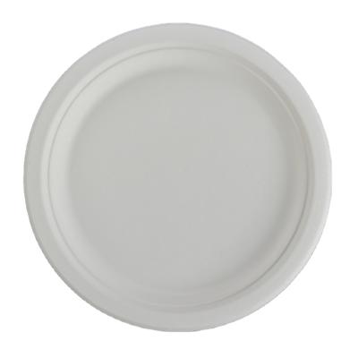 China Wholesale Hot Selling Disposable Biodegradable Paper Plate Sugar Cane Dish Cake Dish Disposable Tableware for sale