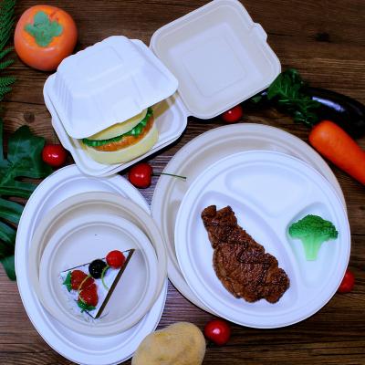 China Food Free Samples 10 Inch Eco-Friendly Tableware Sugar Cane Pulp Bagasse Round Dishes Biodegradable Bulk Disposable Dishes Food for sale