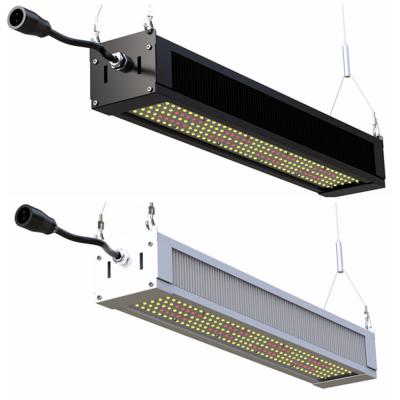 China RikoLite 240W que el espectro completo LED crece la barra delgada ligera, AL1100 horticultura LED crece luces en venta