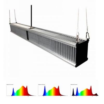 중국 800w 2.7μMol/J 온실 식물은 1000w 슬림 바를 보내게 한 빛 원예학 혼합체를 성장시킵니다 판매용