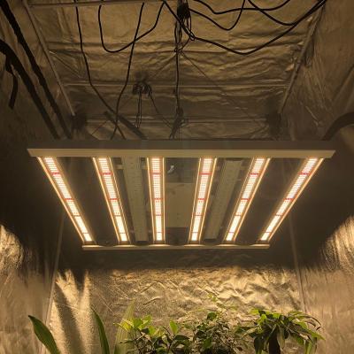 China La horticultura centígrada 35 llevada crece la barra de luces del pilar 2.6μMol/J de las luces 480W 6 en venta