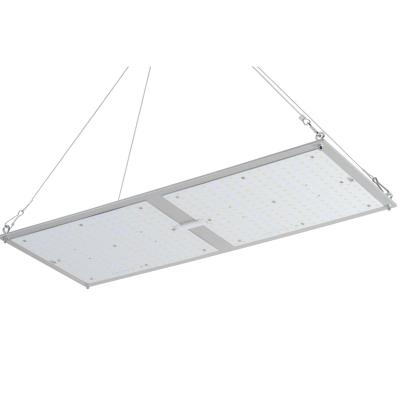 Κίνα Rikolite 200w ιατρικών εγκαταστάσεων εσωτερικά υδροπονικά αυξανόμενα συστήματα πινάκων καλλιέργειας κβαντικά προς πώληση