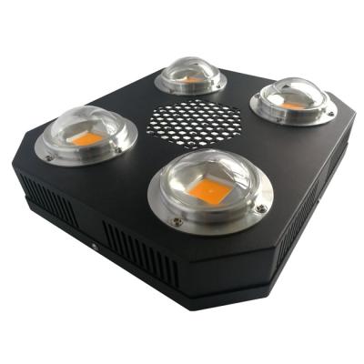 China La planta de AC85V 380nm llevada crece espectro completo de la horticultura 200w de la MAZORCA de las luces en venta