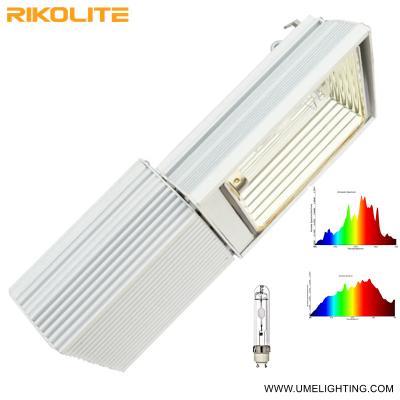 China Landwirtschafts-3100K Cmh Cdm, das Innen ist, wachsen beleuchtet Halogenid des Metall315w wachsen hell zu verkaufen