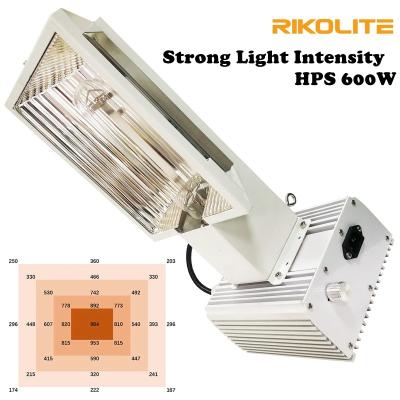 Κίνα Ο ελαφρύς αέρας υπέρ 600W HPS υψηλής έντασης γίνεται ελαφρύς για το θερμοκήπιο προς πώληση