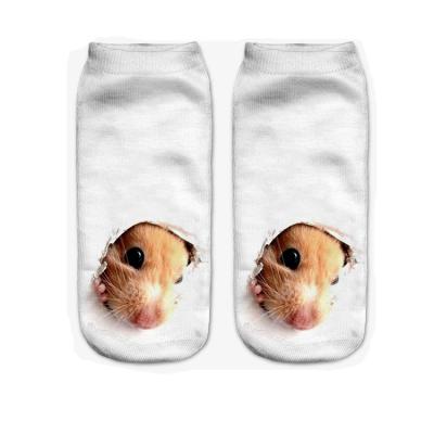 China Gray Mouse New Arrival 3D Pug Printing Antibacterial Dog Dog Harajuku Art Low Cut Animal Ankle Casual Women's Sock for sale