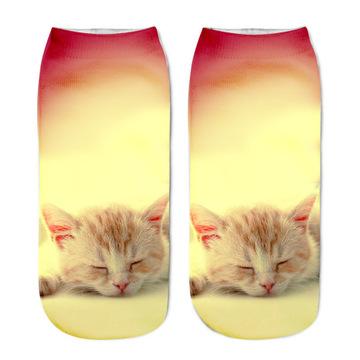 China Good Quality 3D Socks Fashion Print Antibacterial Sock With Cute Funny Pattern Ankle Low Hosiery for sale