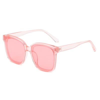 China Fashion sunglasses custom fashion tr90 transparent pink sunglasses for women for sale