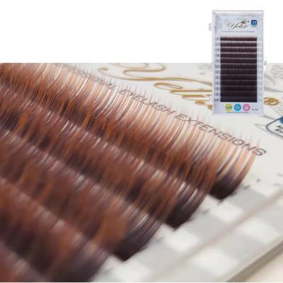 China 2021 hot-selling natural soft gradient color eyelash extensions individual with packing for sale