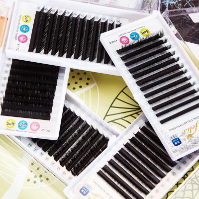 China New Arrival Flat Extension Soft Natural Mink Eyelashes Eyelashes Easy Vendor Fan Eyelash Extension for sale