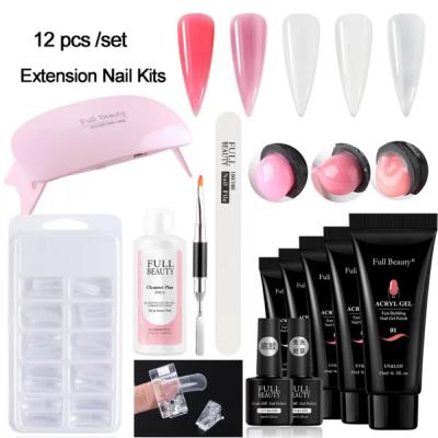 China Easy Apply Poly Gel 15g Colors 15g Acrylic Gel Extension Nails Poly Acrylic Gel Kit With UV Lamp for sale