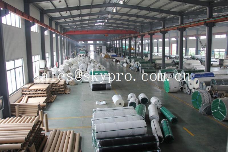 Fornitore cinese verificato - Nanjing Skypro Rubber&Plastic Co.,ltd