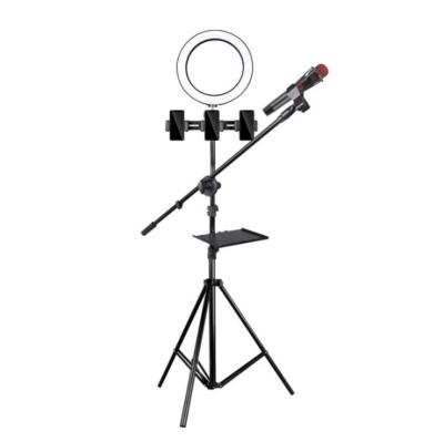 China Light Extendable Extendable Lattice Array LED Table Sound Card Condenser Microphone Stand Live Broadcast Recording Stand for sale