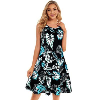 China 2023 Anti-Static One Piece Hot Sale Plus Size Feminine Lady Casual Custom Size Beach Women Vestidos Printed Sleeveless Beautiful Floral Dress for sale