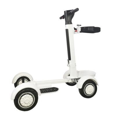 China 2022 Hot Selling Kick Scooter Golf Electric Detachable Battery Electric Scooter With Golf Bag Holder 10 Inch for sale