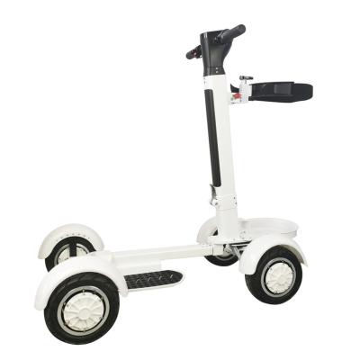 China 1000W*2 10 Inch EEC Approved Golf Scooter 48V Electric Golf Bag Electric Scooter 3 Wheels for sale