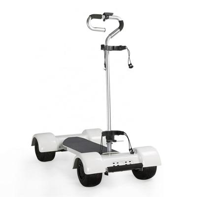 China Remile Unisex Three Wheel Electric Scooter With Seat Adult Electric Scooter Folding Electric Tricycle 2000W Scooter for sale