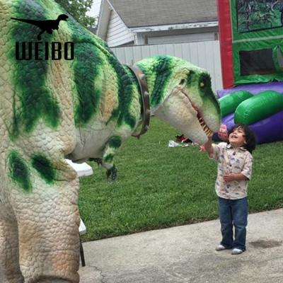 China Theme Park Dino Party T-Rex Dinosaur Walking Costume for sale