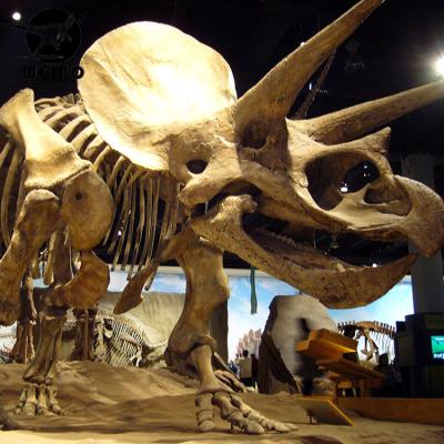 China Theme Park Animatronic Dinosaur Skeleton Dinosaur Bones For Dinosaur Museum for sale