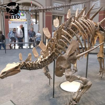 China Custom Tyrannosaurus Rex Theme Park Dinosaur Skeleton for sale