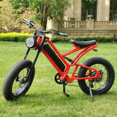 China Best Hot Selling Motor 48V 1000W Rear Drive Aluminum Alloy ANDUUK Foldable Ebike Electric Bike For OEM ODM for sale