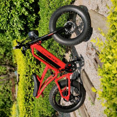 China Factory Supplier ANDUUK Alloy China Directly Aluminum Rear Motor 20 Inch High Speed ​​Electric Bicycle For Adult for sale