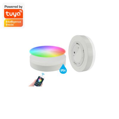 China modern round ultra thin smart lighting tuya wifi control dimmer surface 300lm 6w led panel light for sale